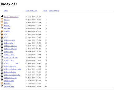Zintnieks žurnāls, Zintnieks, SIA
